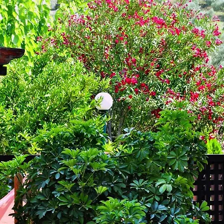 Ilios شقة فندقية